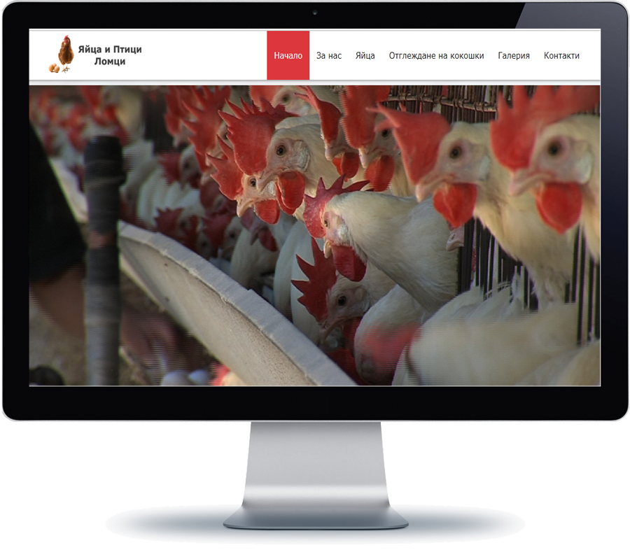 Яйца и птици Ломци